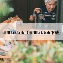 缅甸tiktok（缅甸tiktok下载）