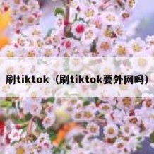 刷tiktok（刷tiktok要外网吗）