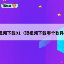 短视频下载91（短视频下载哪个软件好）