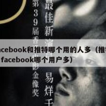 facebook和推特哪个用的人多（推特和facebook哪个用户多）