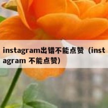 instagram出错不能点赞（instagram 不能点赞）
