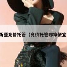 新疆竞价托管（竞价托管哪家便宜）