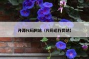 开源代码网站（代码运行网站）