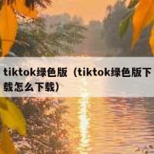 tiktok绿色版（tiktok绿色版下载怎么下载）