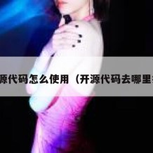 开源代码怎么使用（开源代码去哪里找）