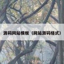 源码网站模板（网站源码格式）
