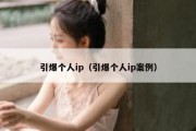 引爆个人ip（引爆个人ip案例）