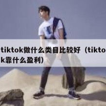 tiktok做什么类目比较好（tiktok靠什么盈利）