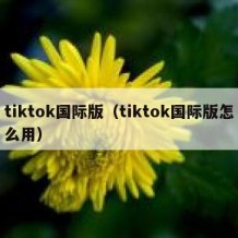 tiktok国际版（tiktok国际版怎么用）