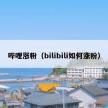 哔哩涨粉（bilibili如何涨粉）