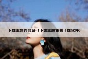 下载主题的网站（下载主题免费下载软件）