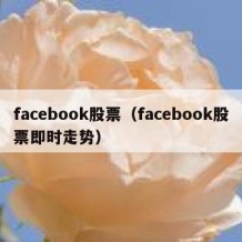 facebook股票（facebook股票即时走势）
