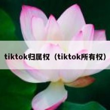 tiktok归属权（tiktok所有权）