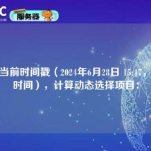 根据当前时间戳（2024年6月28日 15:47，北京时间），计算动态选择项目：