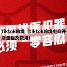 tiktok跨境（tiktok跨境电商开店流程及费用）