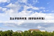 怎么学软件开发（初学软件开发）