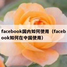 facebook国内如何使用（facebook如何在中国使用）