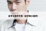 自学小程序开发（自学做小程序）