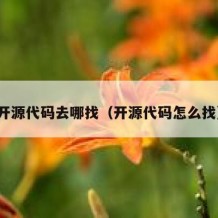 开源代码去哪找（开源代码怎么找）