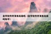 自学软件开发有出路吗（自学软件开发有出路吗知乎）