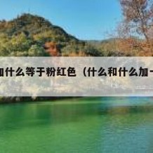 什么加什么等于粉红色（什么和什么加一起是粉色）