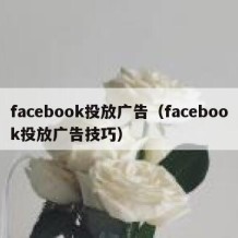 facebook投放广告（facebook投放广告技巧）