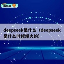 deepseek是什么（deepseek是什么时候爆火的）