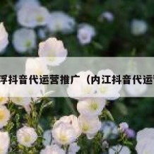 云浮抖音代运营推广（内江抖音代运营）
