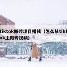 tiktok搬砖项目赚钱（怎么从tiktok上搬砖视频）