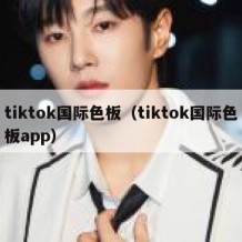 tiktok国际色板（tiktok国际色板app）