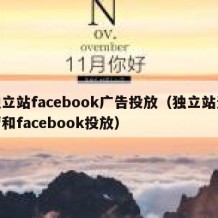 独立站facebook广告投放（独立站运营和facebook投放）