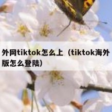 外网tiktok怎么上（tiktok海外版怎么登陆）