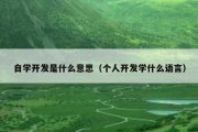 自学开发是什么意思（个人开发学什么语言）