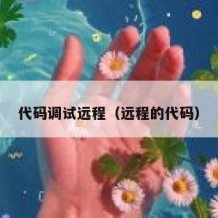 代码调试远程（远程的代码）