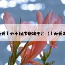 吾爱上云小程序搭建平台（上吾爱淘）
