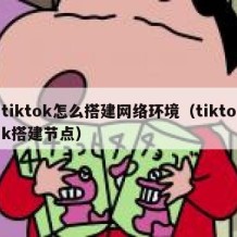 tiktok怎么搭建网络环境（tiktok搭建节点）