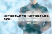b站在线观看人数在哪（b站在线观看人数算自己吗）