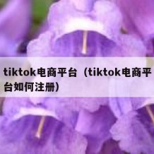 tiktok电商平台（tiktok电商平台如何注册）