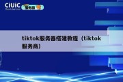 tiktok服务器搭建教程（tiktok服务商）