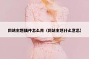 网站主题插件怎么用（网站主题什么意思）