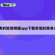 91黄的短视频版app下载安装的简单介绍