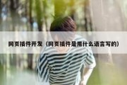 网页插件开发（网页插件是用什么语言写的）
