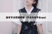 独享节点搭建教程（节点共享平台app）