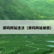 源码网站违法（源码网站被抓）