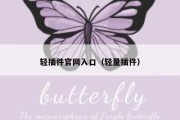 轻插件官网入口（轻量插件）
