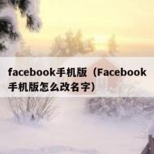 facebook手机版（Facebook手机版怎么改名字）