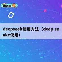 deepseek使用方法（deep snake使用）