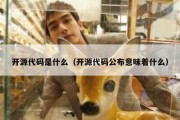 开源代码是什么（开源代码公布意味着什么）