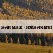 源码网站违法（网站源码侵权案）