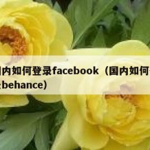 国内如何登录facebook（国内如何登录behance）